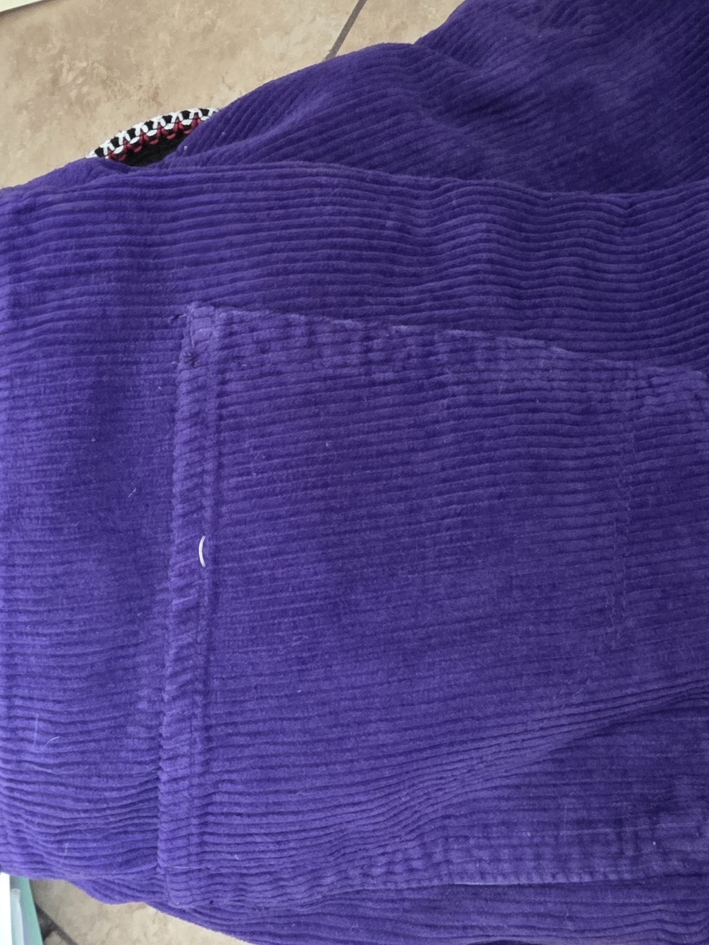 Empyre Men's Purple Corduroy Pants